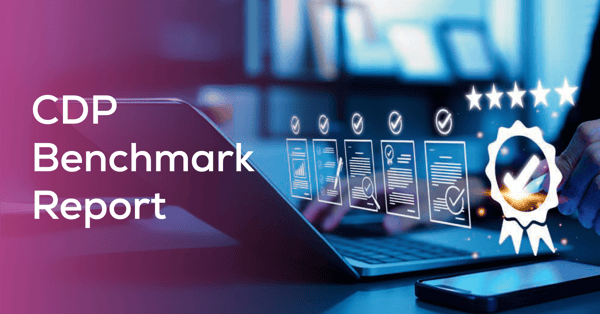 CDP Benchmark Report: Marketplace Leaders Outpaced by Celebrus
