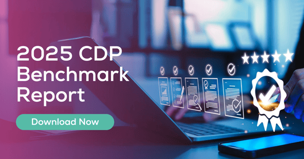 Celebrus 2025 CDP Benchmark Report