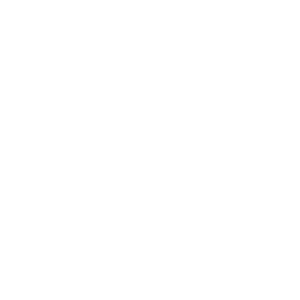 Celebrus AI Icon - White