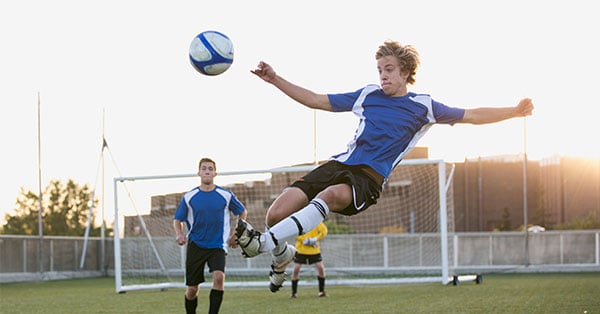 insurance-fraud-defense