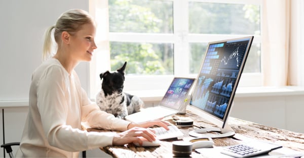 woman with dog analyzing reports on two computeres