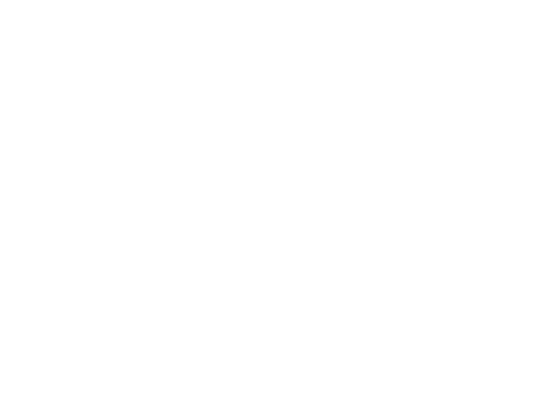 BNP Paribas logo (1)