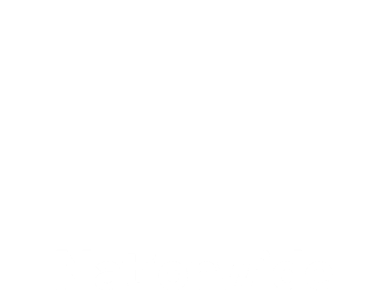 nationwide logo (1)